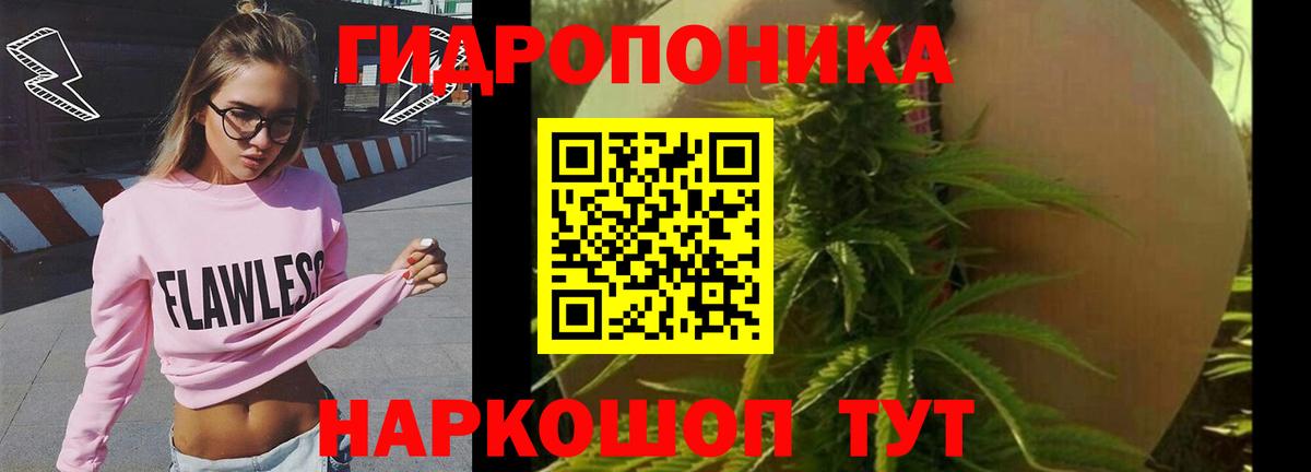 Павлово  Канабис марихуана  Марихуана OG Kush  Вход с VPN  Марихуана Amnesia 